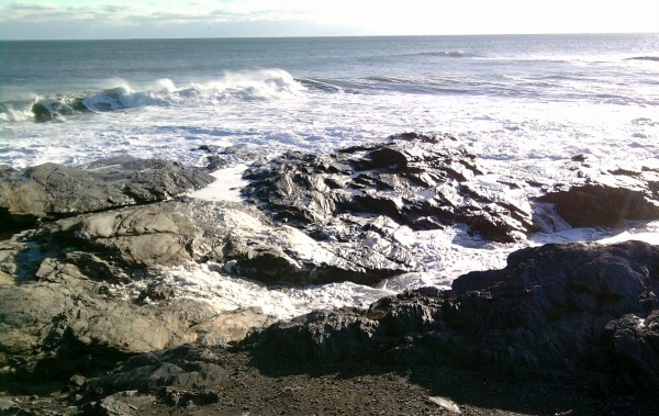 Tyler's Final Resting Place. Beavertail Lighthouse December  14, 2010 Visit